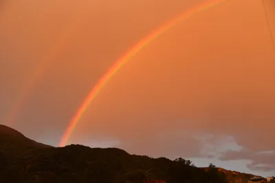 DSC_6059 (Large).JPG